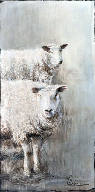 Annabelle Lanfermeijer + Nieuwsgierige schapen